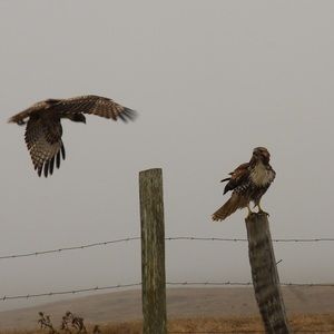 Meet your Posher, Stephen